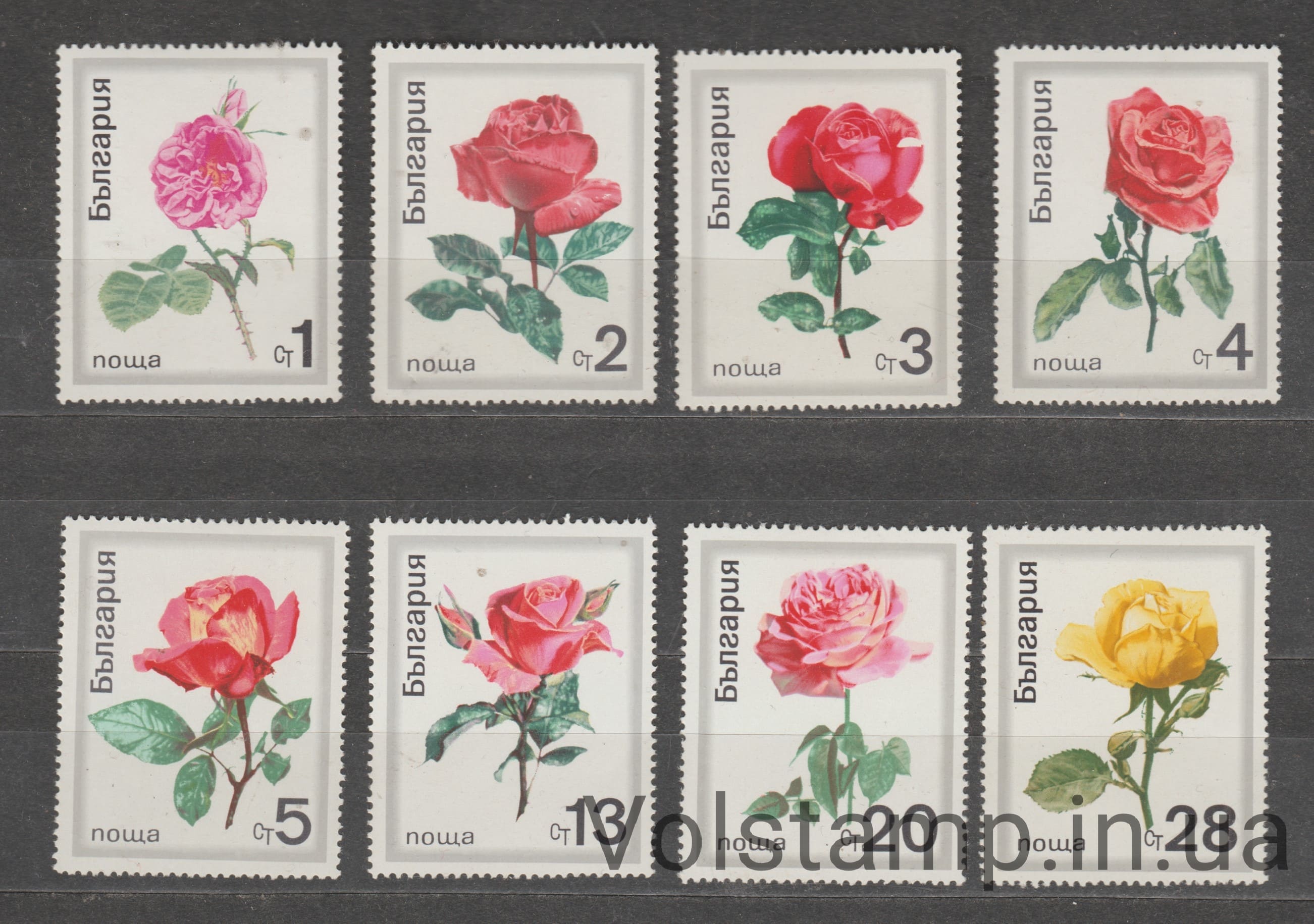 1970 Болгарія Серія марок (Квіти - Троянди 1970) MNH №1999-2006