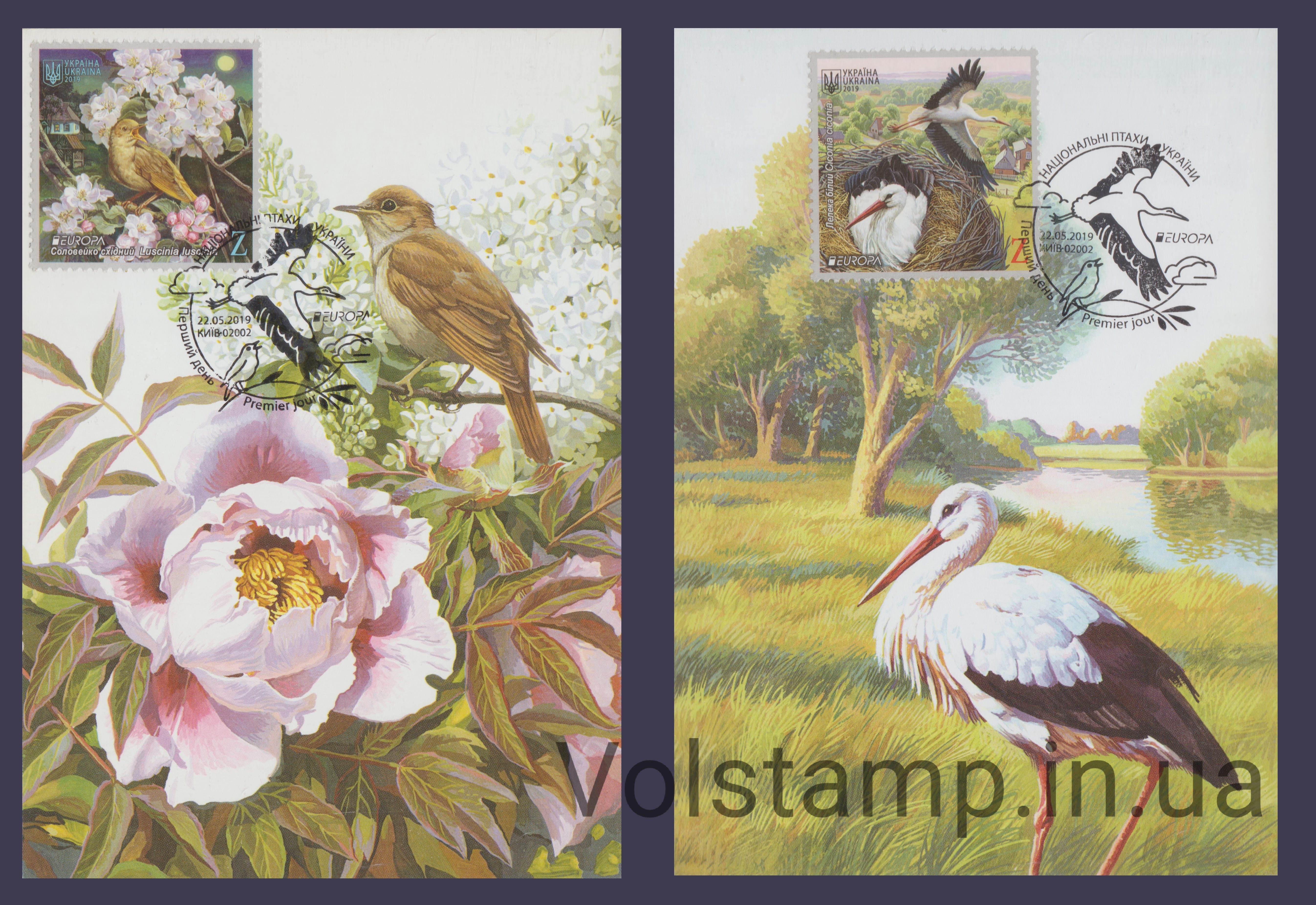 2019 Card maximum Birds stork and nightingale fauna Europe series №1747-1748