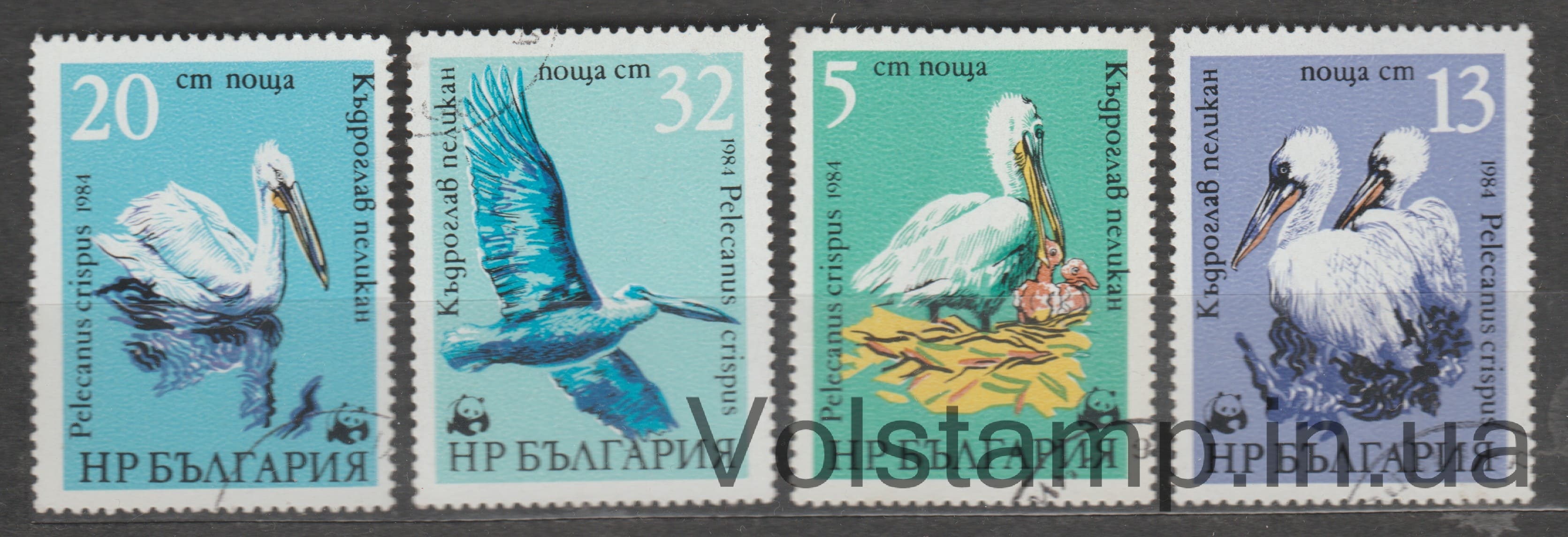 1984 Bulgaria Stamp series (Dalmatian Pelican (Pelecanus crispus)) Used №3303-3306