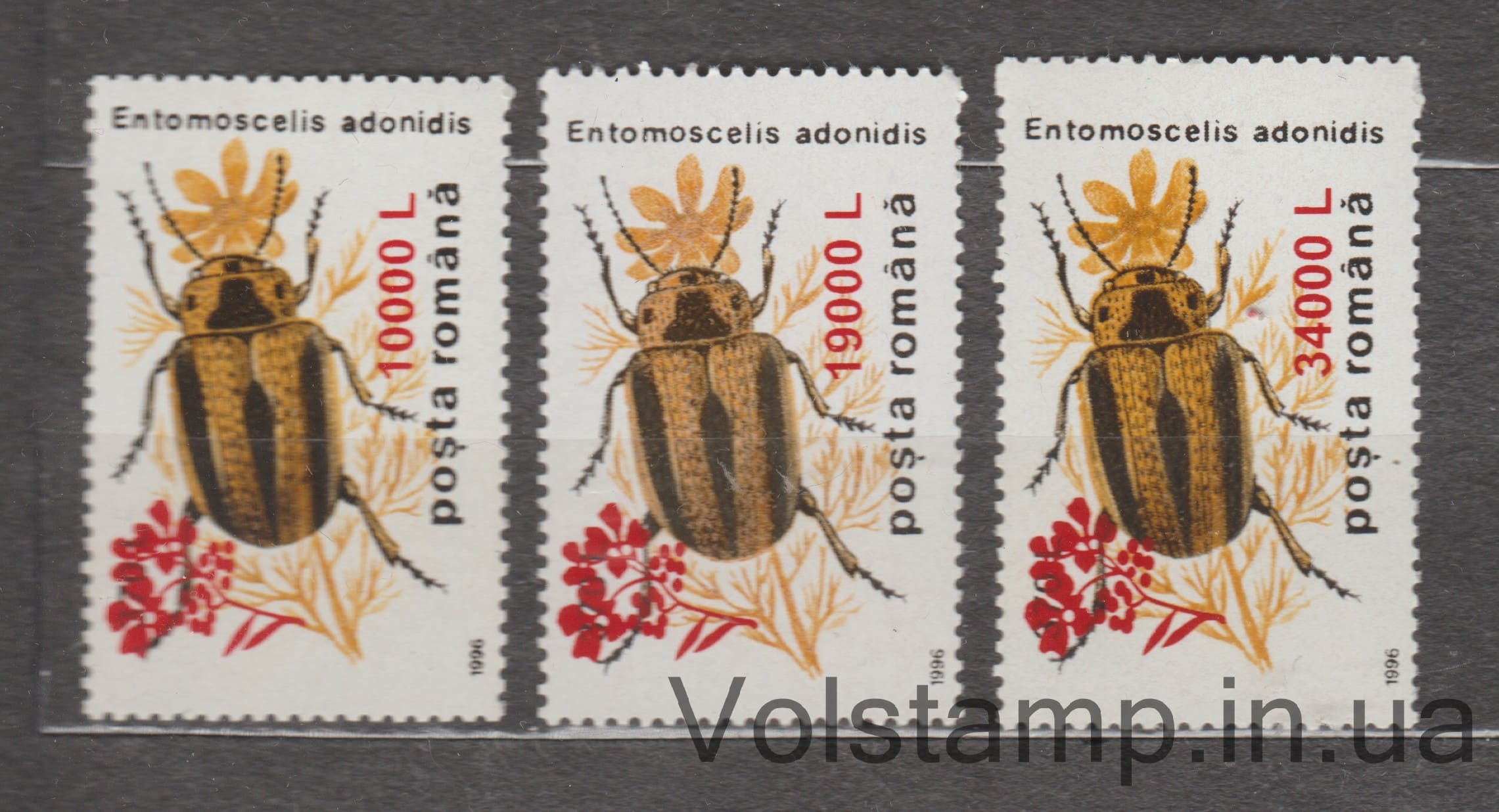 2000 Румунія Серія марок (Листоїд, жук) MNH №5496-5498