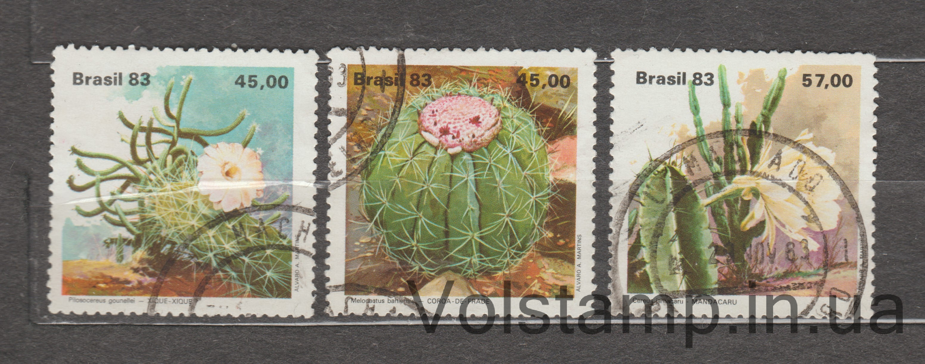 1983 Бразилия Серия марок (Xique-Xique (Pilosocereus gounellei)) Гашеная №1996-1998