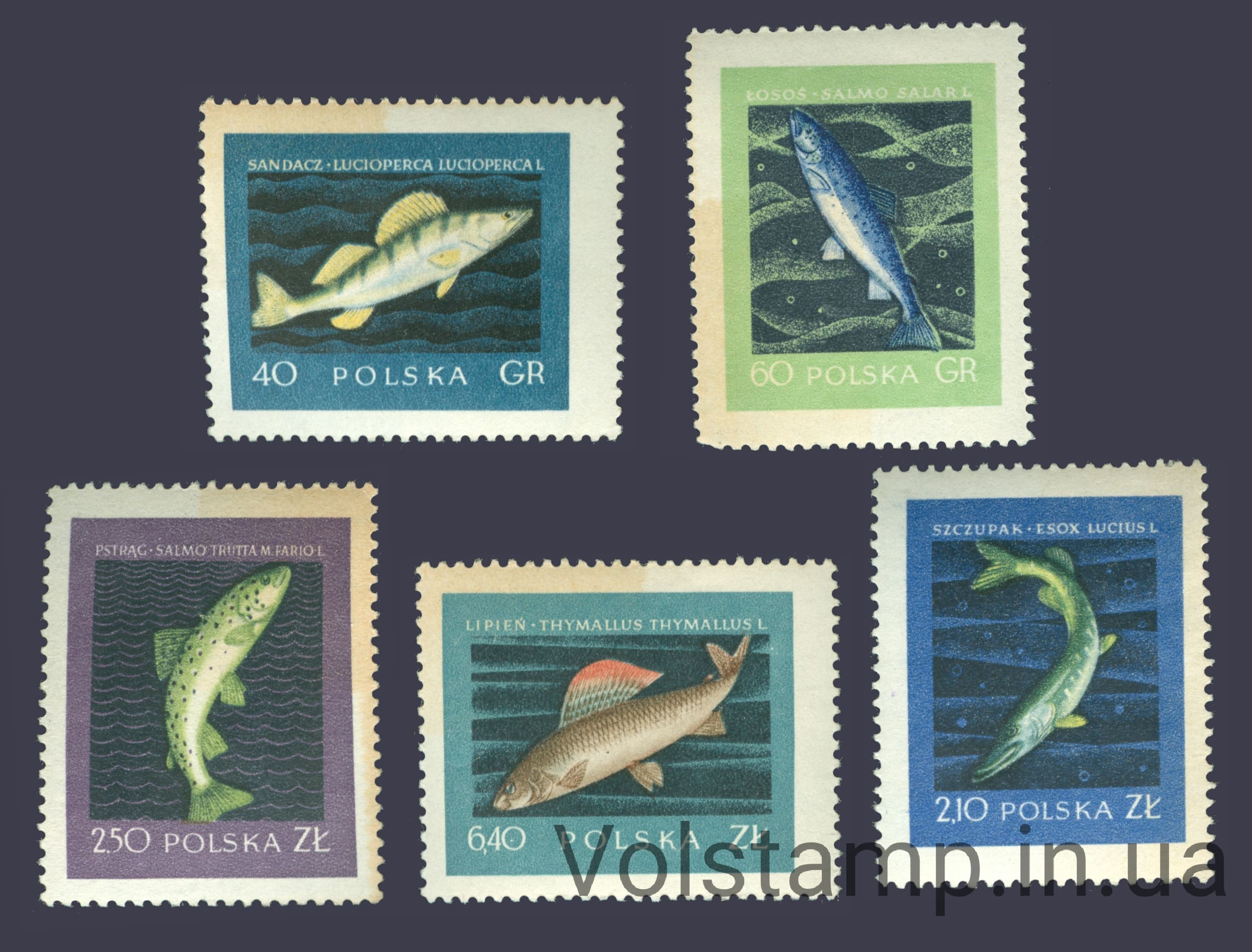 1958 Польша Серия марок (Рыбы) MNH пожелтевшая бумага №1051-1055