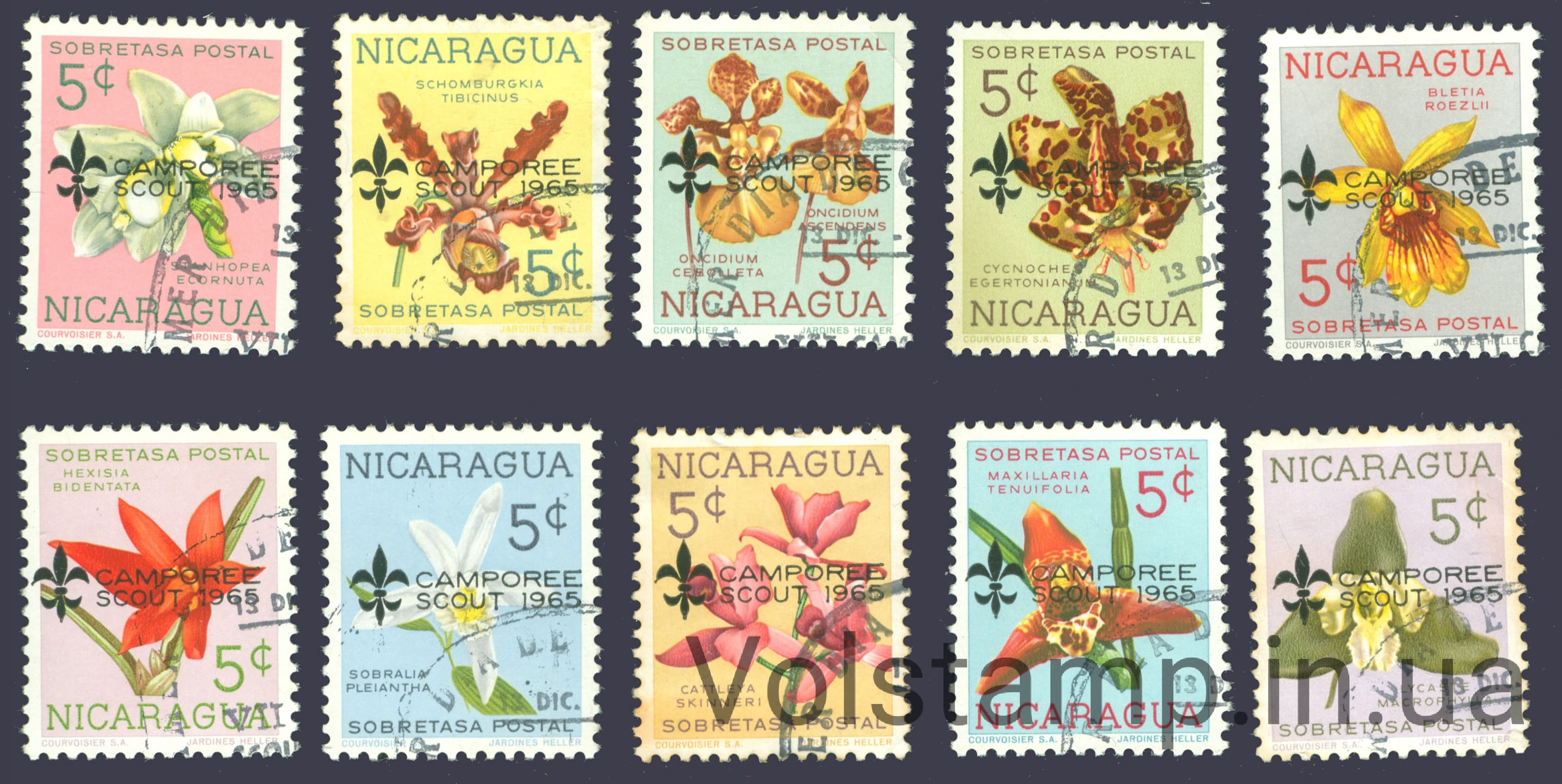 1965 Никарагуа Серия марок (Центральная американская скаутская встреча, цветы, флора) Гашеные дефект на клее №1397-1406