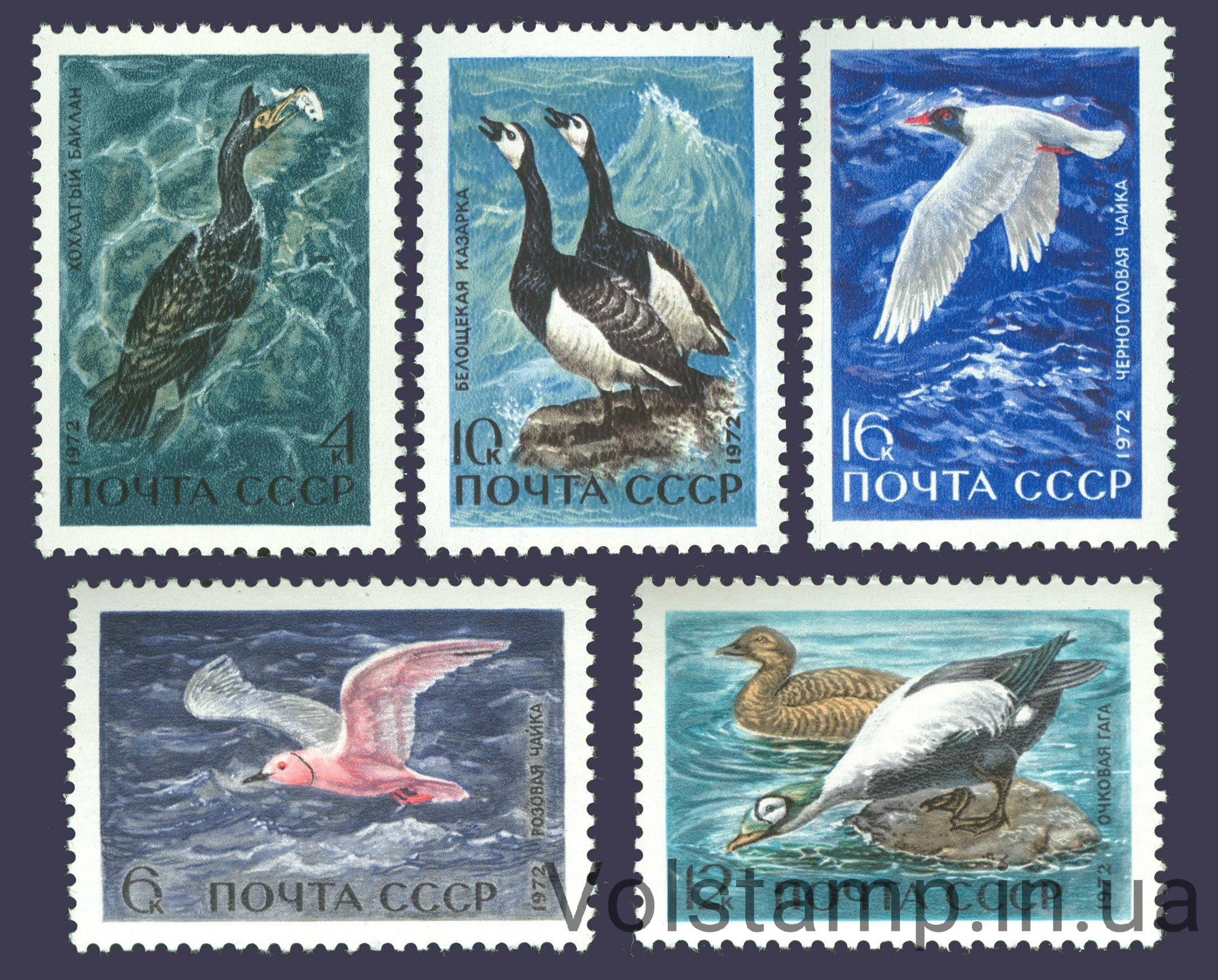 1972 серия марок Пернатые-обитатели побережий морей и океанов №4024-4028
