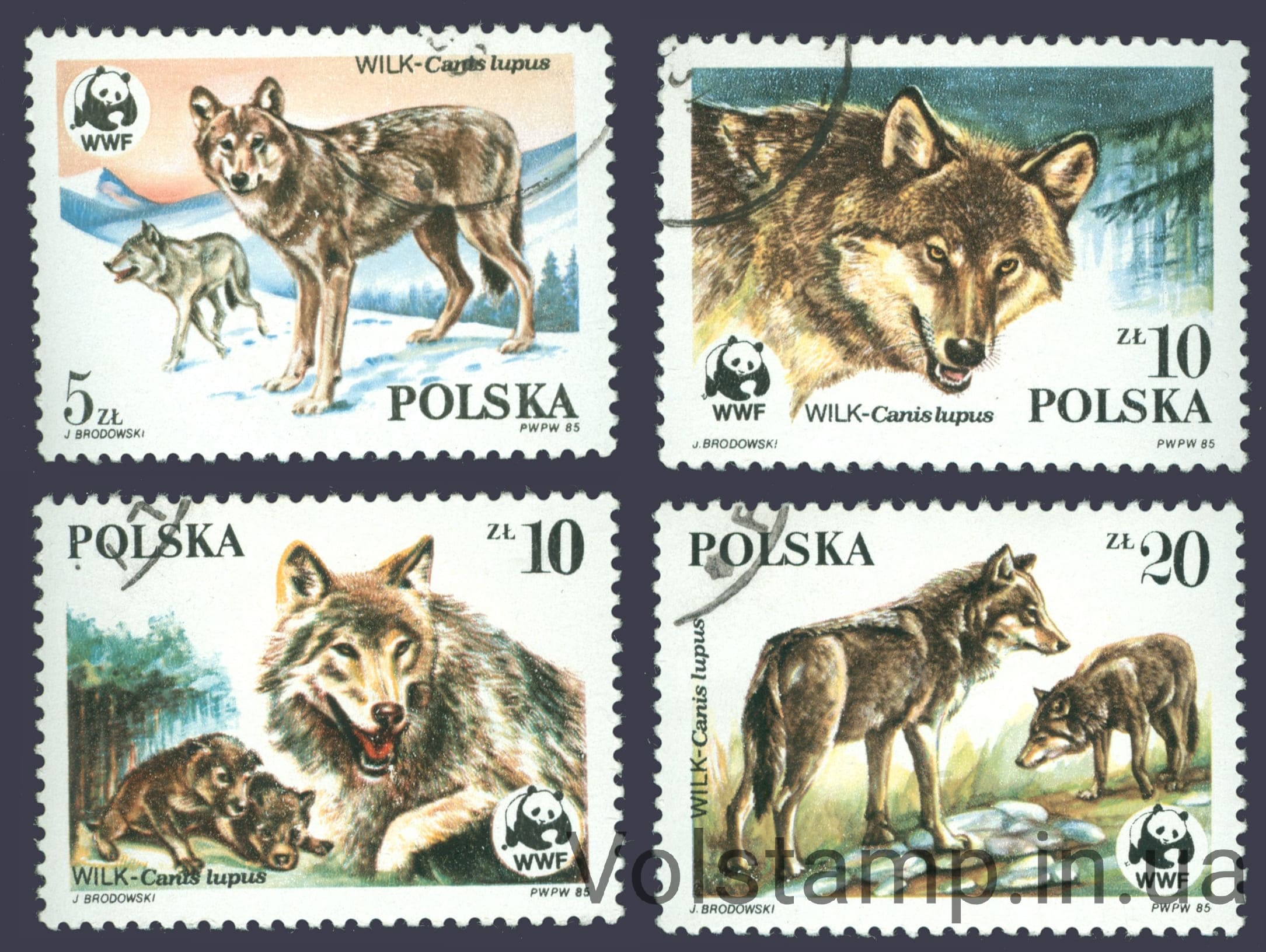 1985 Польша Серия марок (Волки) Гашеные №2975-2978