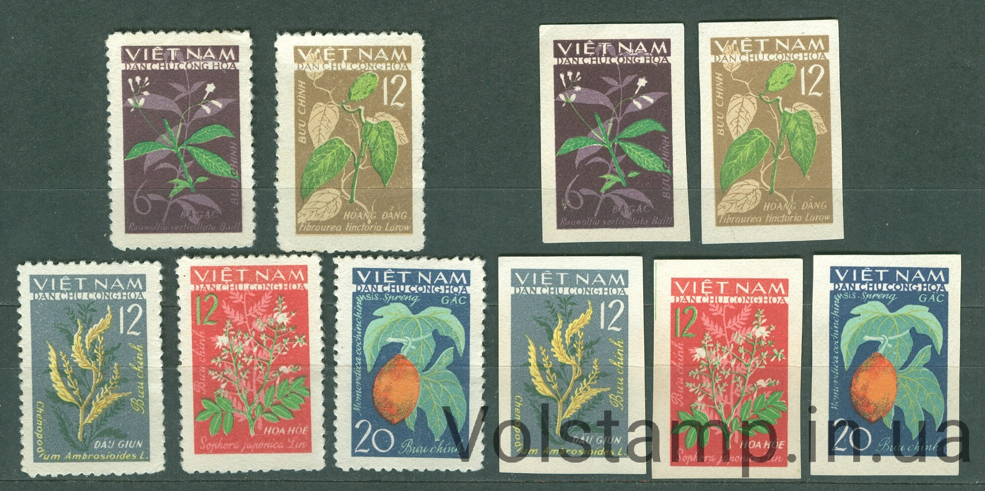 1963 Вьетнам серия марок (Флора, лекарственные растения) MNH №287-291AB