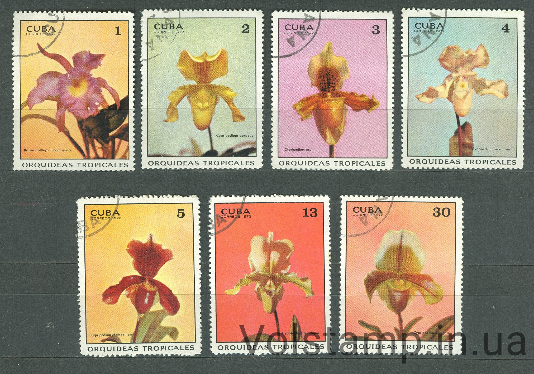 1972 Cuba stamp series (Flora, flowers) Used №1751-1757
