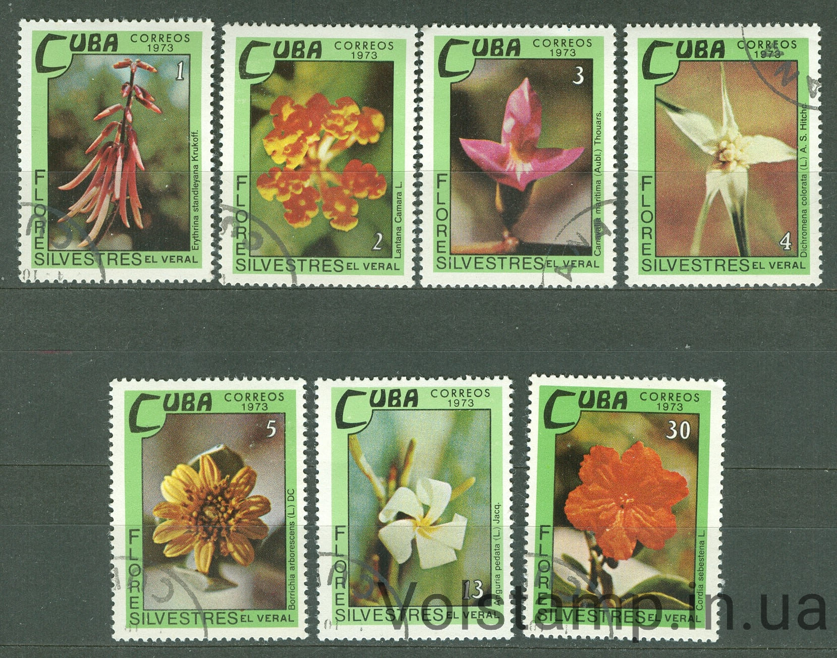 1973 Куба серія марок (Флора, Квітучі рослини) Гашені №1909-1915