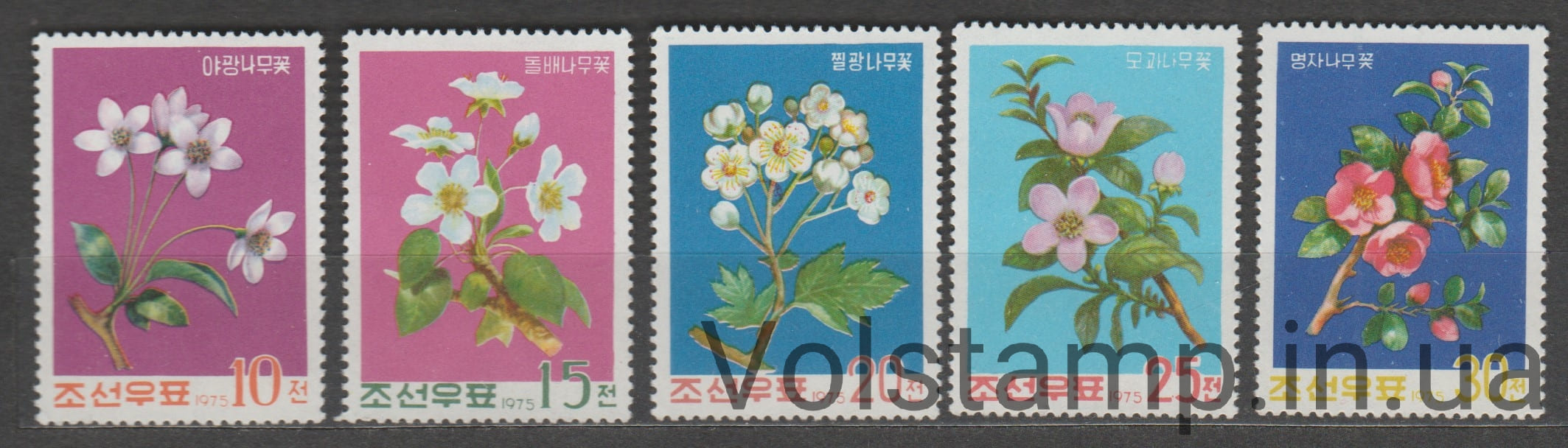 1975 Северная Корея серия марок (Флора, цветы) MNH №1403-1407