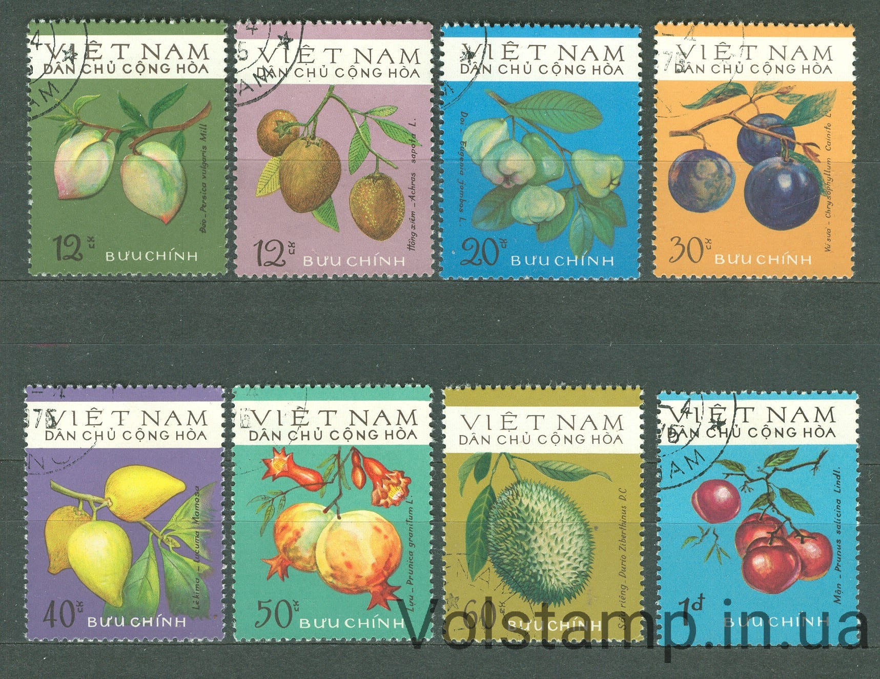 1975 Вьетнам серия марок (Флора, фрукты) Гашеные №803-810