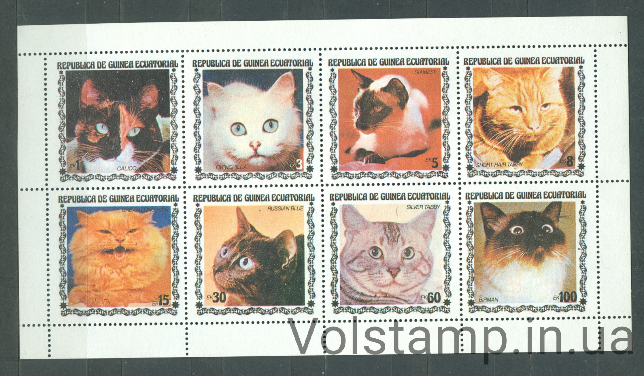 1978 Экваториальная Гвинея малый лист (Коты) MNH №1403-1410