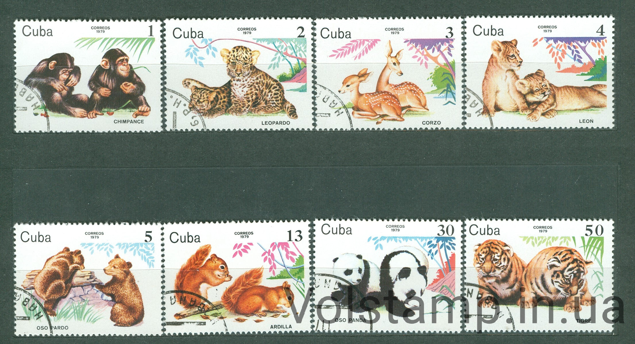 1979 Куба серия марок (Фауна, млекопитающие, дикие кошки, панды) Гашеные №2439-2446