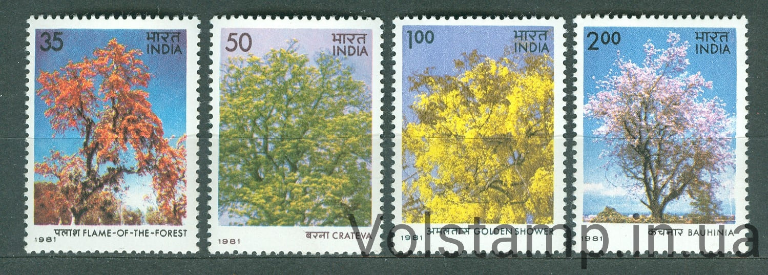 1981 Індія серія марок (Флора, дерево, ліс) MNH №877-880