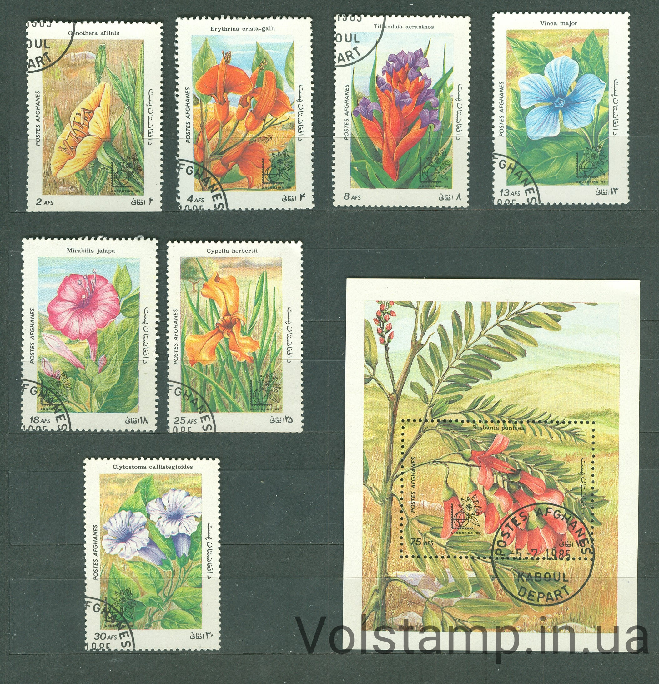 1985 Афганістан серія марок + блок (Флора, квіти) Гашені №1419-1425 + БЛ78