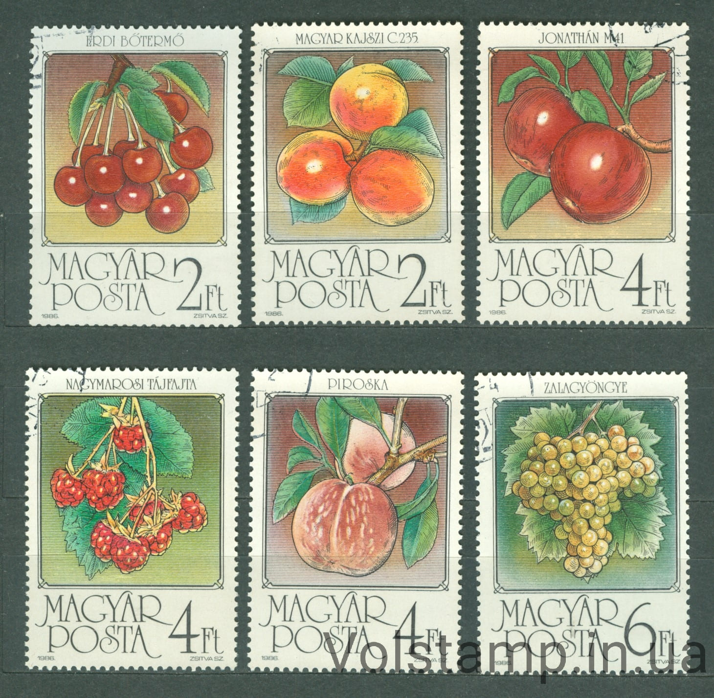 1986 Венгрия серия марок (Флора, фрукты, виноград) Гашеные №3848-3853