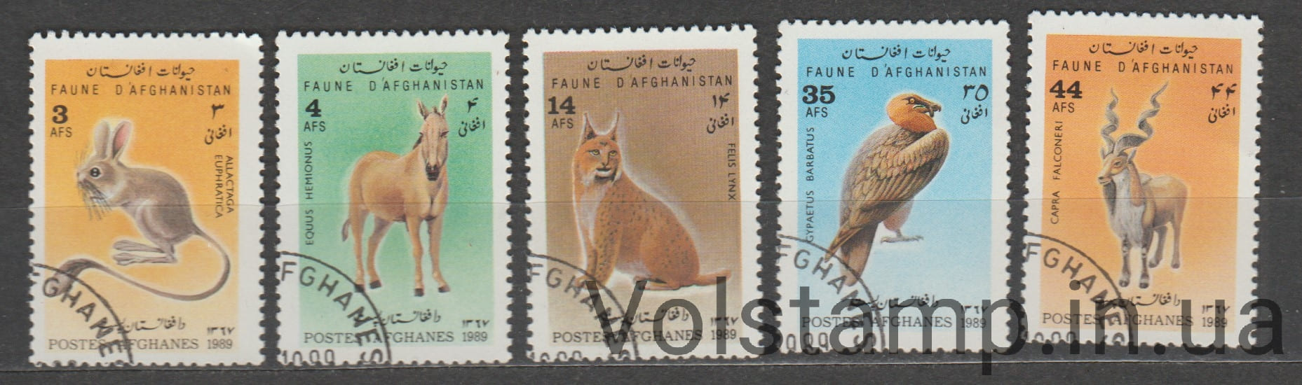1989 Афганістан серія марок (Фауна, ссавці, птахи, коні) Гашені №1628-1632