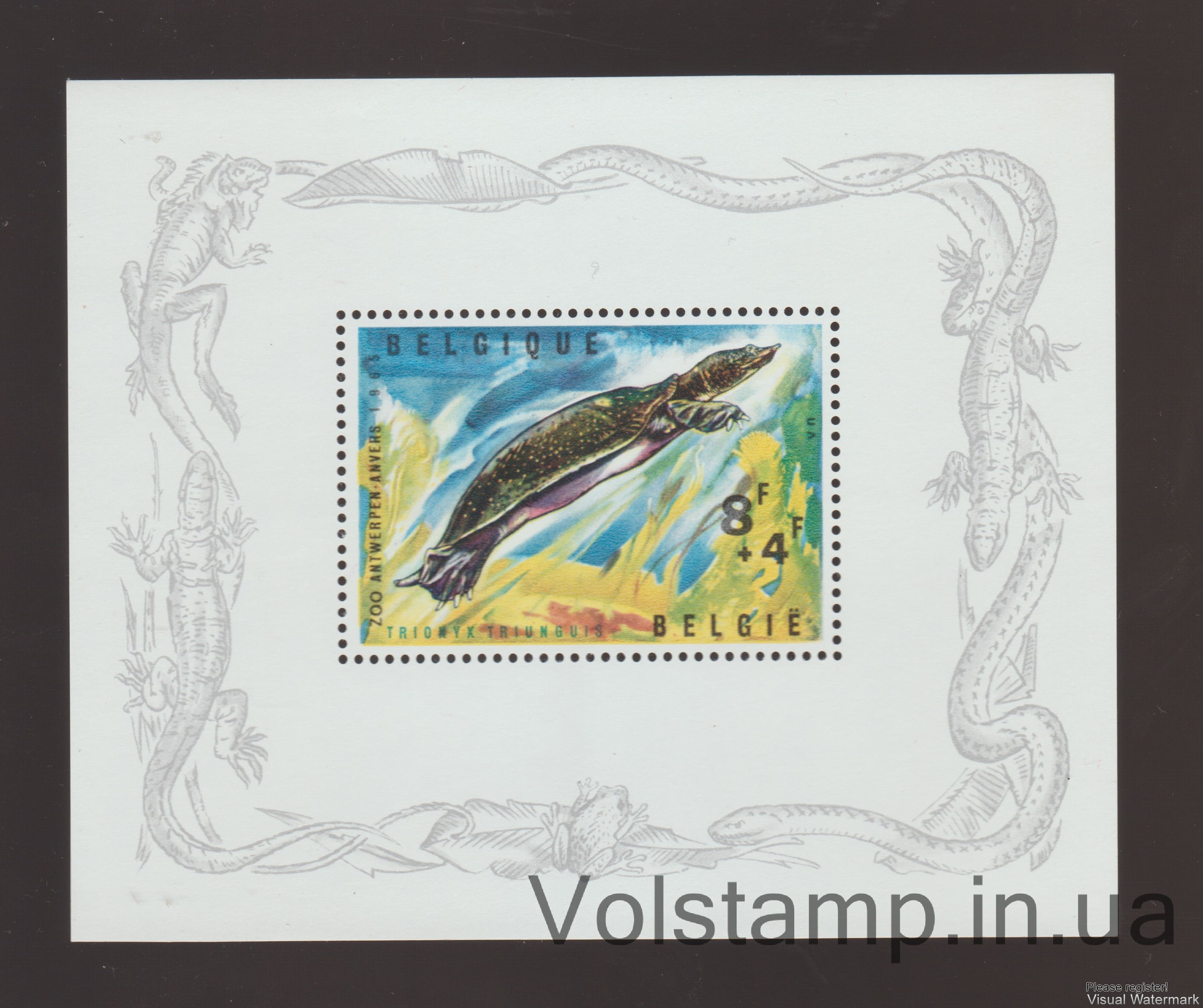 1965 Бельгия Блок (Нильская мягкопанцирная черепаха (Trionyx triunguis)) MNH №БЛ33