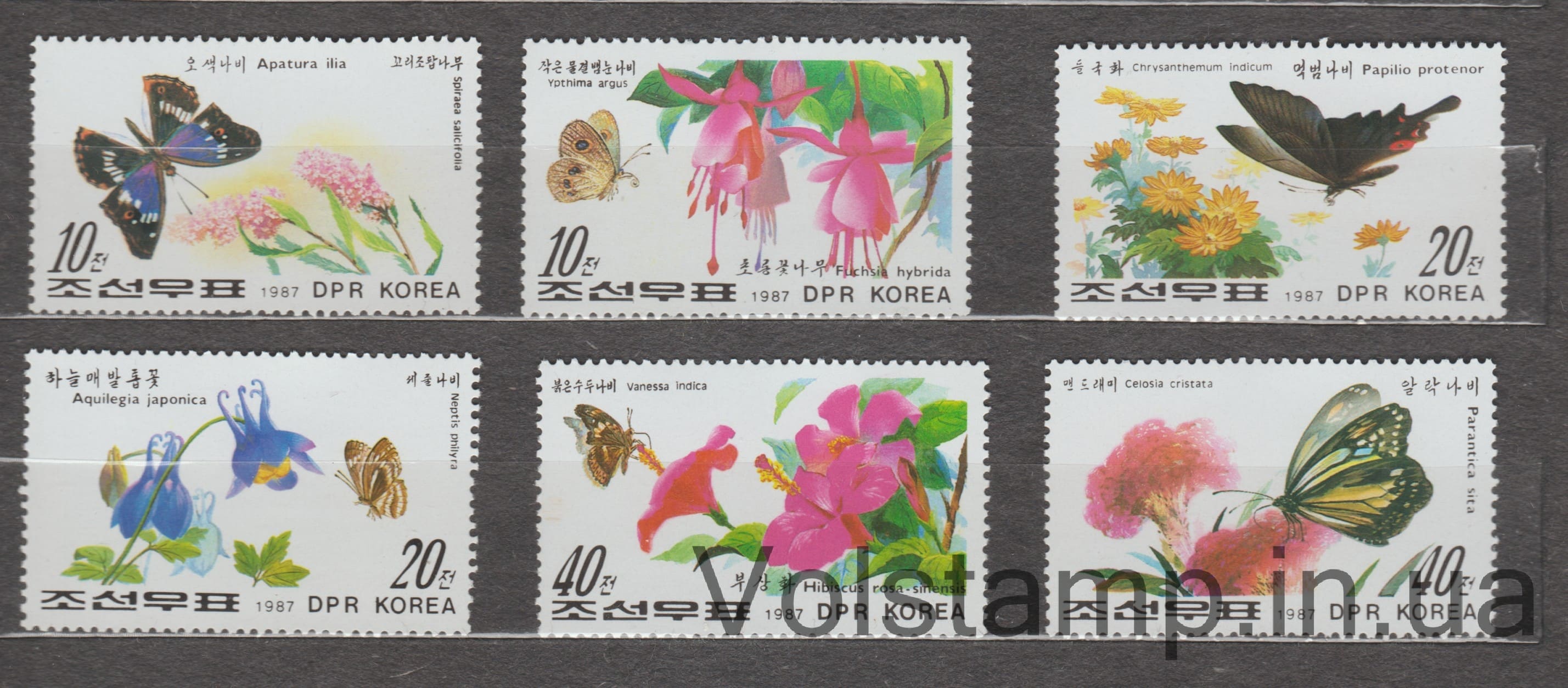1987 Северная Корея Серия марок (Бабочки и цветы) MNH №2825-2830