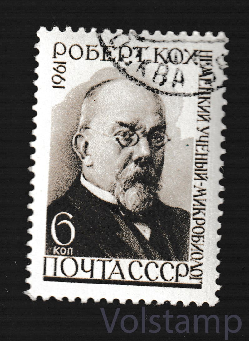 Марка К 50 - летию со дня смерти Роберта Коха - Гашеная №2463 1961 марка К 50 - летию со дня смерти Роберта Коха - Гашеная №2463