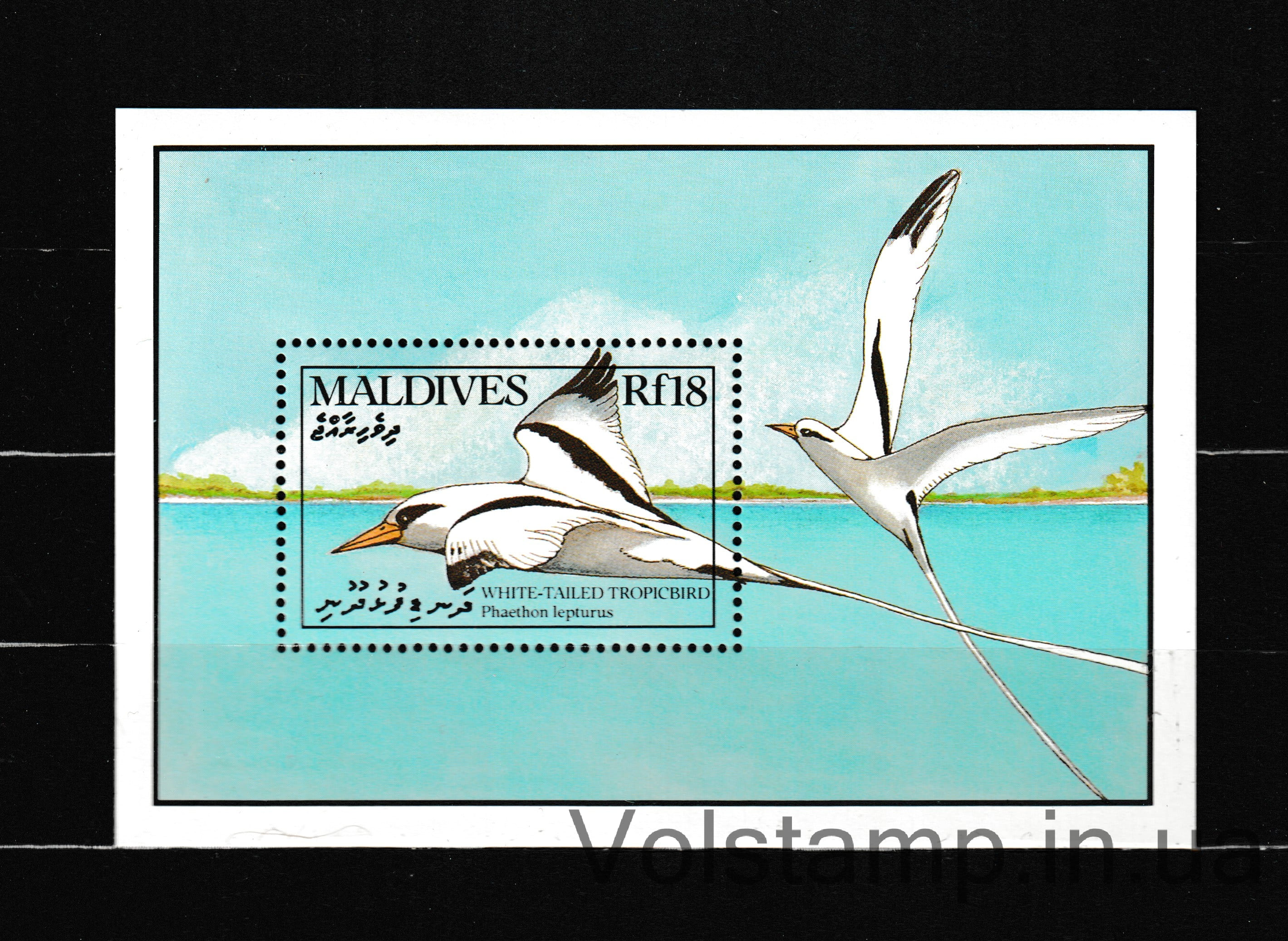 1990 Мальдивы Блок (Белохвостый тропический дрозд (Phaethon lepturus)) MNH №БЛ171