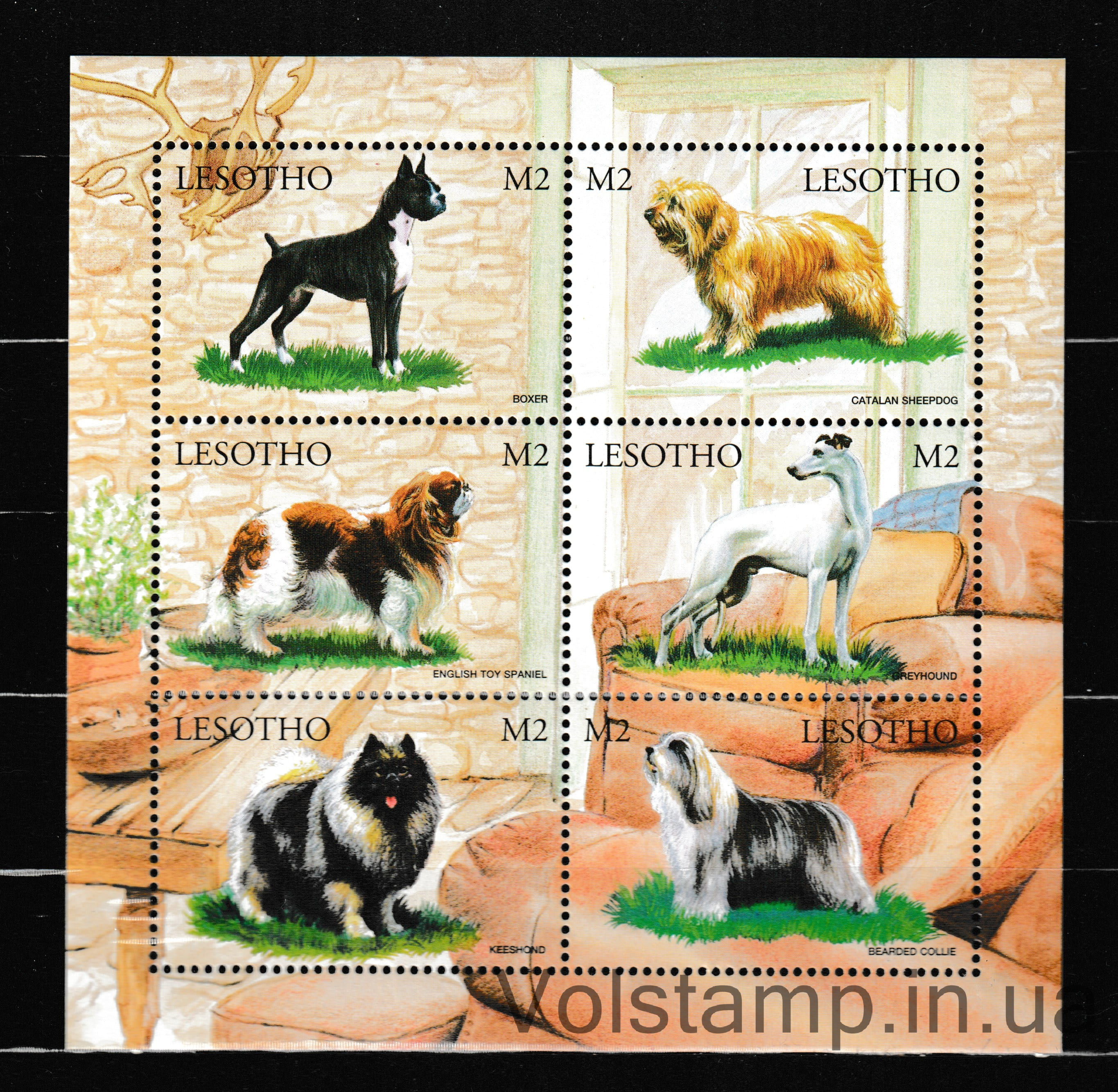 Lesotho Small sheet (Dogs) MNH №1451-1456 1999 Lesotho Small sheet (Dogs) MNH №1451-1456