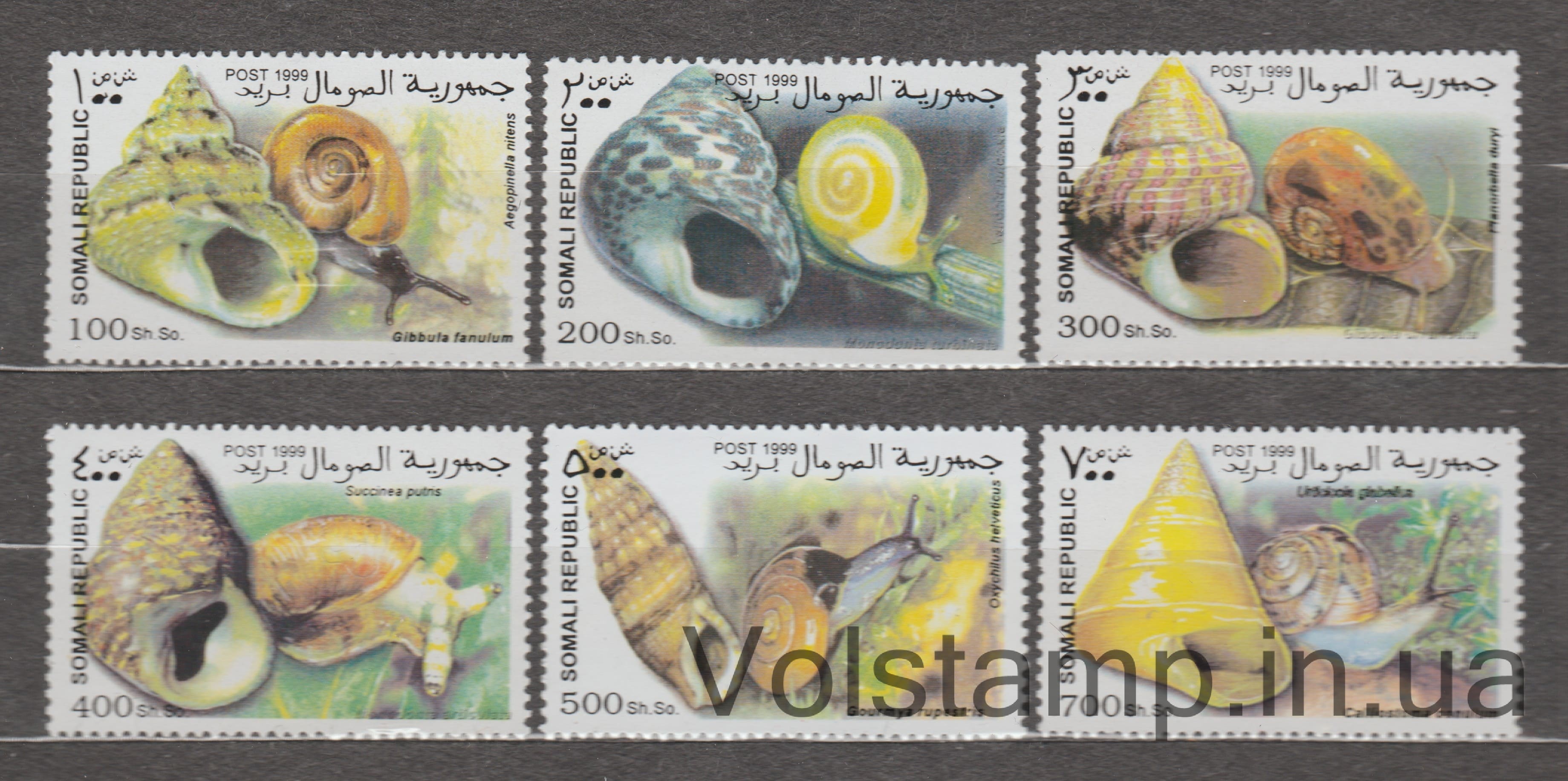 1999 Somalia: Illegal stamps Series of stamps (Shells) MNH №78-83