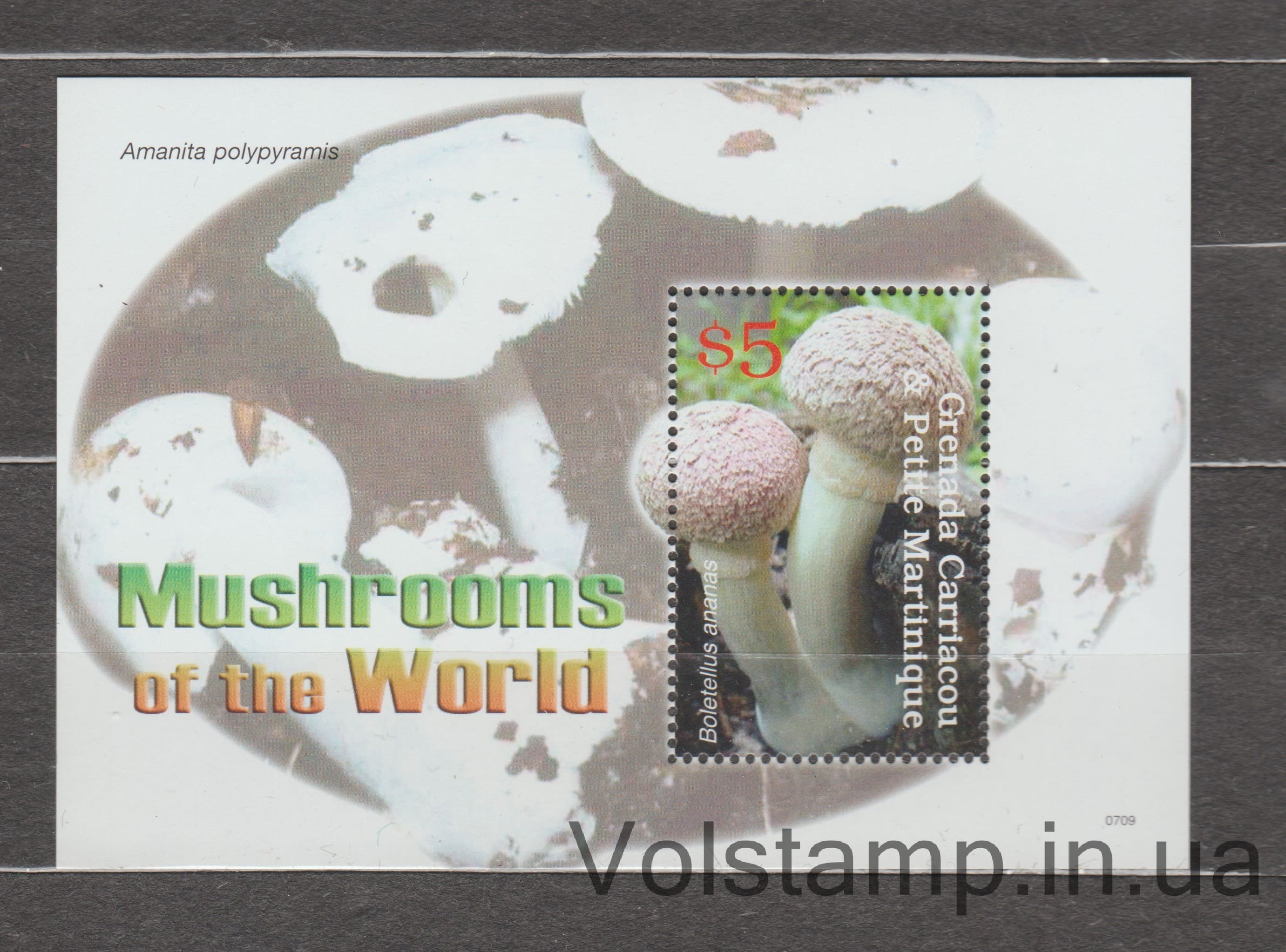 Гренада Карриака и Петит Мартиник Блок (Грибы Boletellus ananas) MNH №БЛ619 2007 Гренада Карриака и Петит Мартиник Блок (Грибы Boletellus ananas) MNH №БЛ619