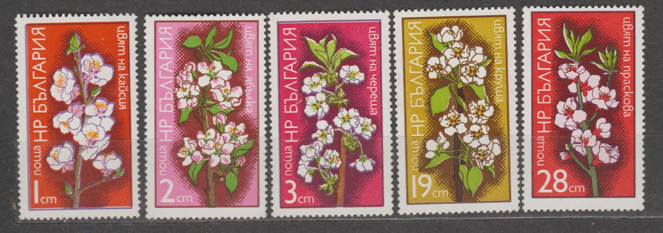 1975 Болгария Серия марок (Флора, цветы фруктовых деревьев) MNH №2374-2378