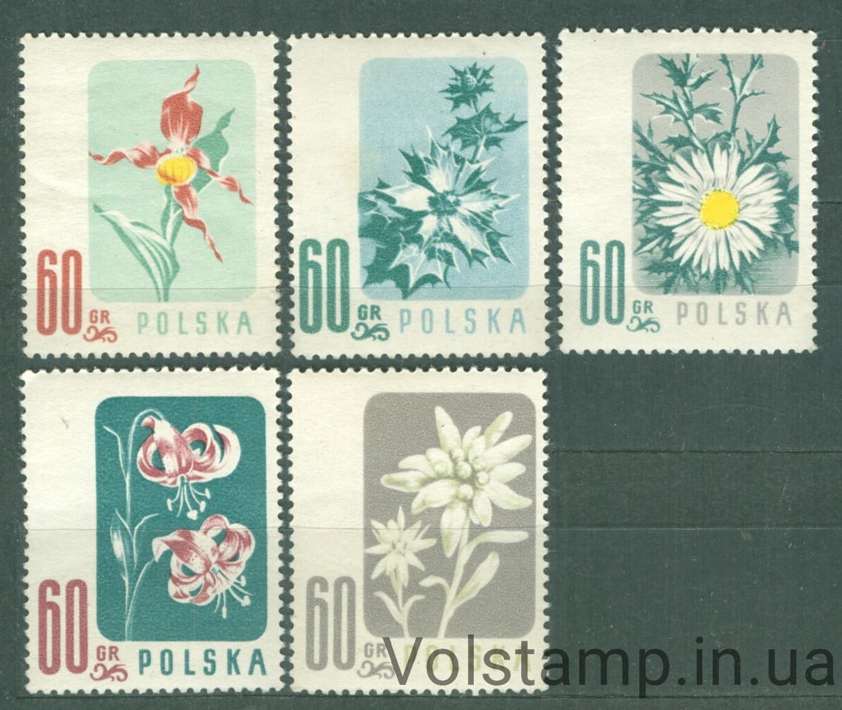 1957 Польша Серия марок (Защищенные цветы (1957)) MNH №1020-1024