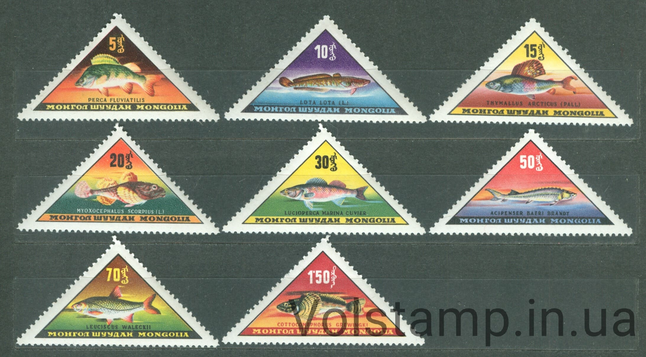 1962 Монголія Серія марок (Риби) MNH №313-320