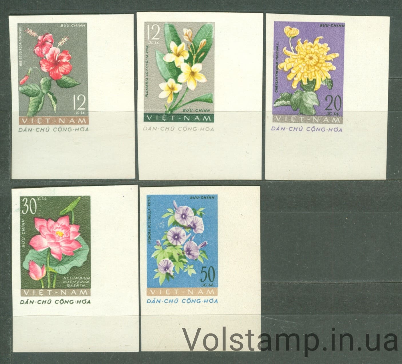 Vietnam Stamp Series (Spring and Summer Flowers) MNH №206-210 1962 Vietnam Stamp Series (Spring and Summer Flowers) MNH №206-210