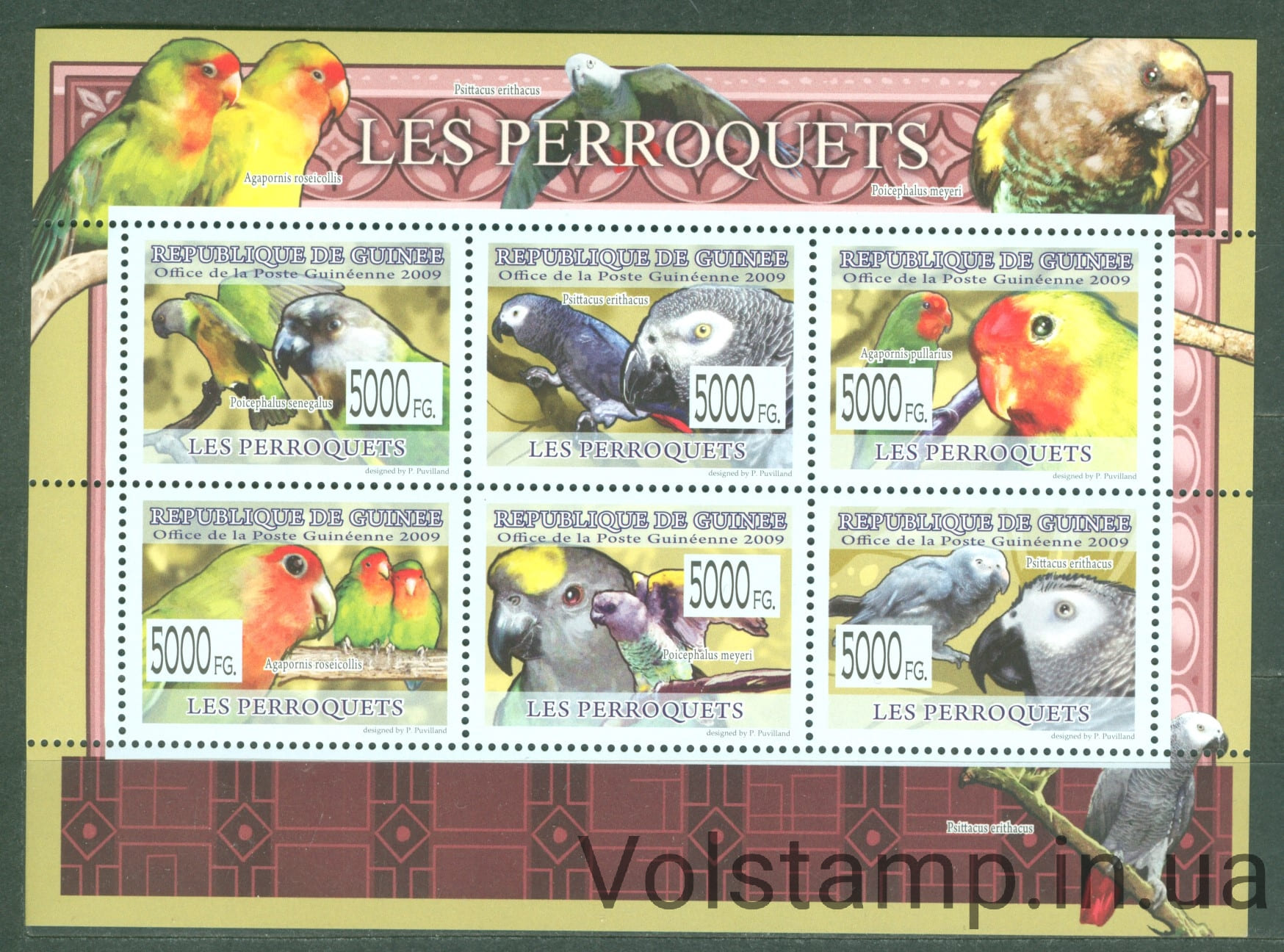 2009 Гвинея Малый лист (Попугаи) MNH №6430-6435