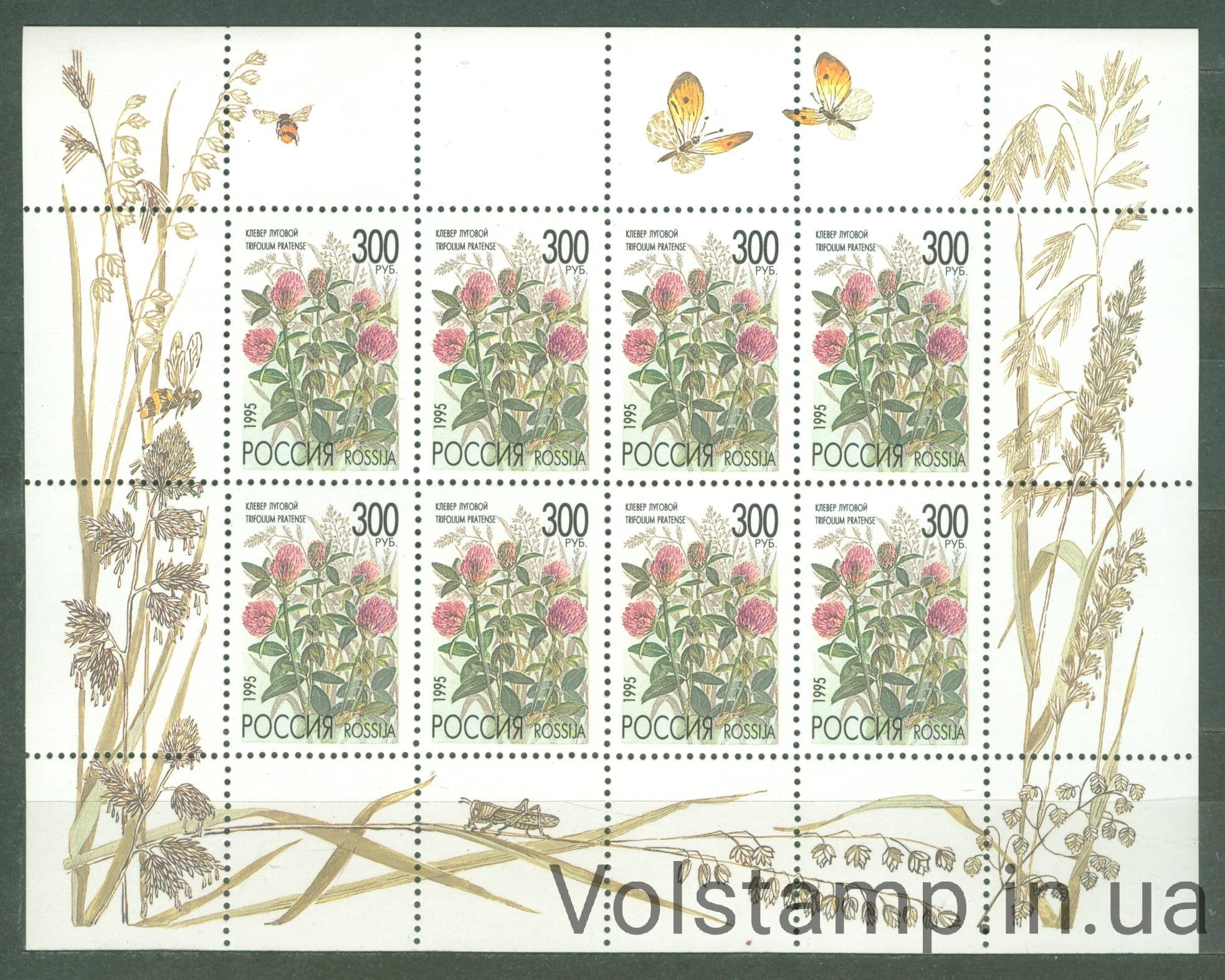 1995 россия Малый лист (Флора - Луговые цветы) MNH №437