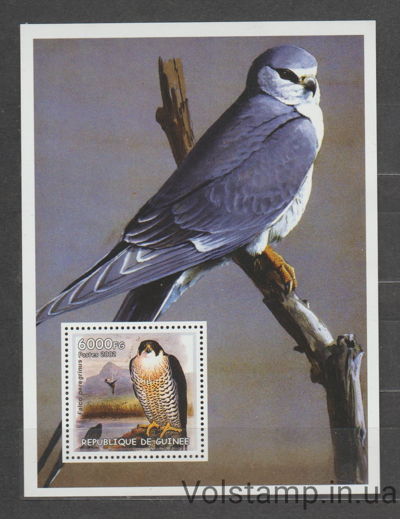 2002 Гвинея Блок (Сапсан, птица) MNH