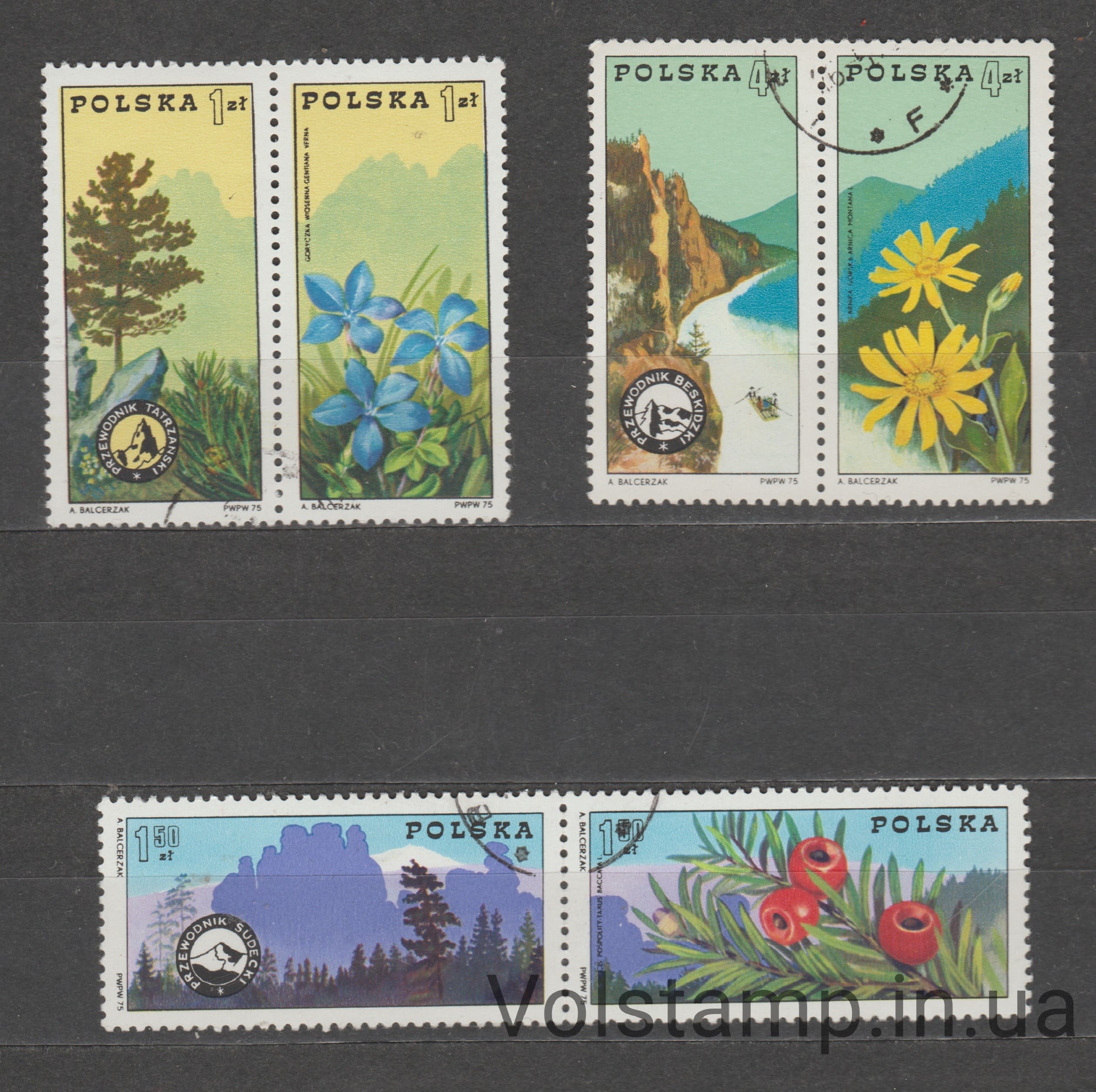 1975 Польша Серия марок (100-летие польских организаций горных гидов, флора) Гашеные №2370-2375