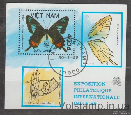 1989 Вьетнам Блок (Кубинский скотовод (Parides Gundlachianus)) Гашеный №БЛ67