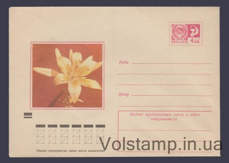 1972 ХМК Лилии «Джоан Эванс» №8592