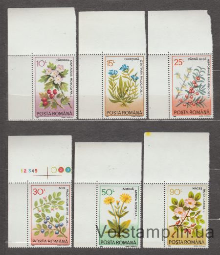 1993 Румыния Серия марок (Лекарственные растения) MNH №4866-4871
