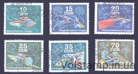 1976 GDR Series stamps (Fish) Used №2176-2181