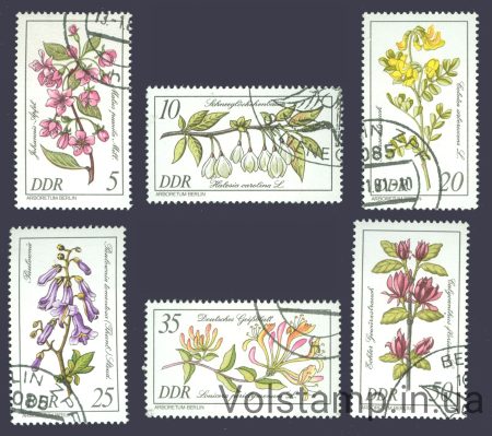 1981 GDR series of stamps (Rare Wood Plants) Used №2573-2578