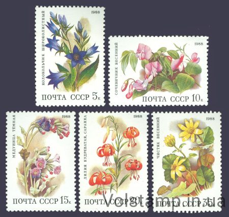 1988 series of stamps flowers of deciduous forests №5899-5903