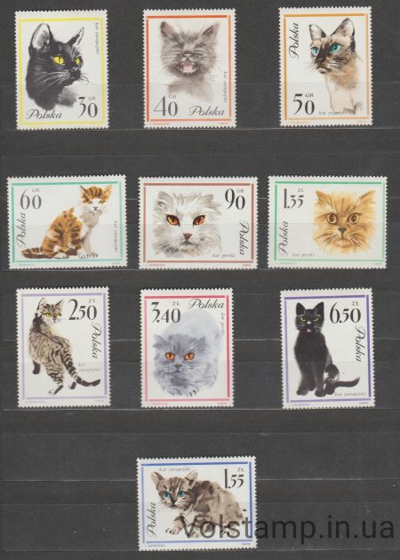 1968 Польща серія марок (Фауна, коти, кішки) MNH №1475-1484