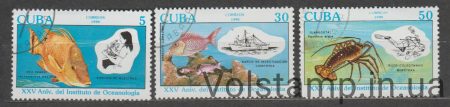 1990 Куба серия марок (Фауна, рыбы) Гашеные №3390-3392