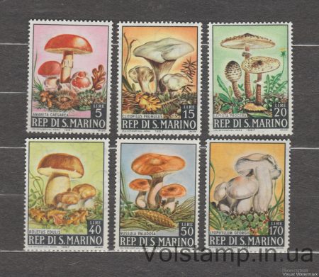 1967 San Marino Series of stamps (Mushrooms) MNH №891-896