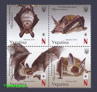 2016 coupling Bats, Night Low Room №1546-1549