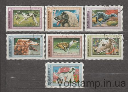 1972 Венгрия Серия марок (Гончие) Гашеная №2742-2748