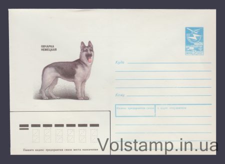 1989 ХМК (Вівчарка німецька) №284