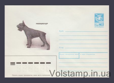 1989 ХМК (Ризеншнауцер) №285