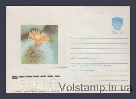 1990 ХМК (Кактус Пародія сніжна) №468