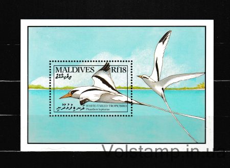 1990 Мальдивы Блок (Белохвостый тропический дрозд (Phaethon lepturus)) MNH №БЛ171